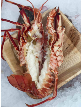 La Langouste royale